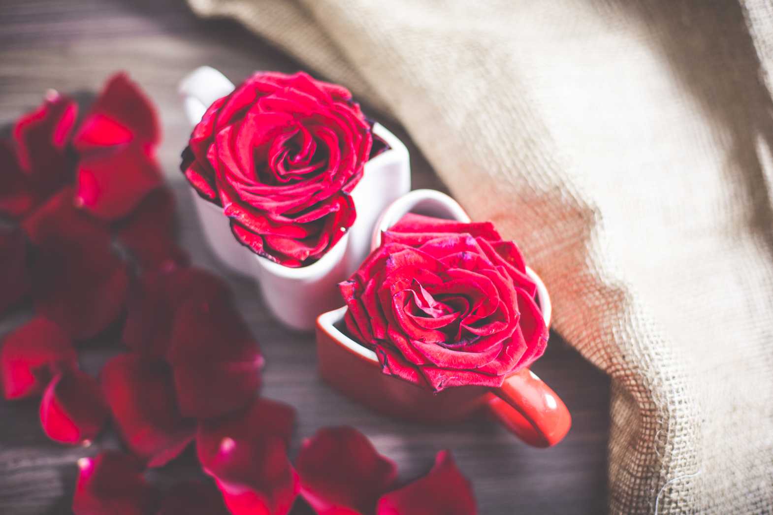 Free stock photo of Love Heart Coffee Cups with Roses and Rose Leafs from picjumbo.com